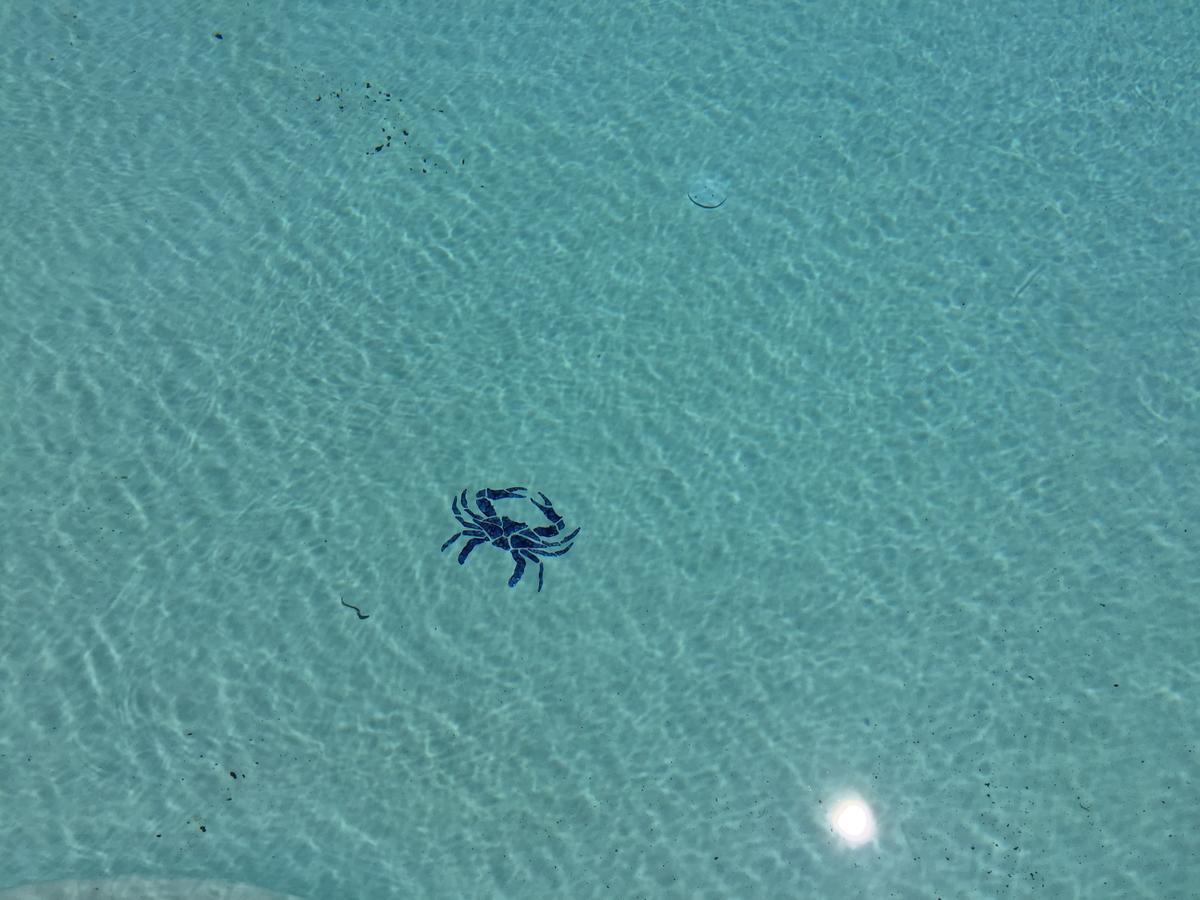 Anchored Inn At Hidden Harbor Deale المظهر الخارجي الصورة